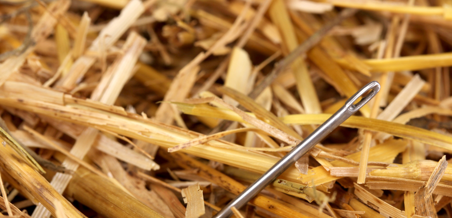 Needle in a haystack to illustrate how difficult it can be to recruit the right people